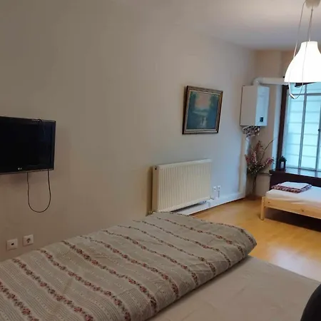Short Loft At Appartement