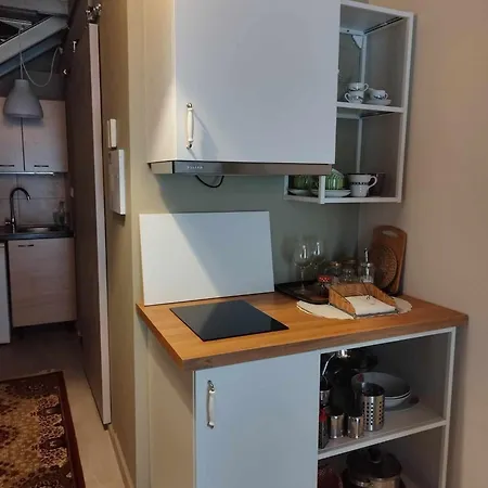 Short Loft At Apartment *