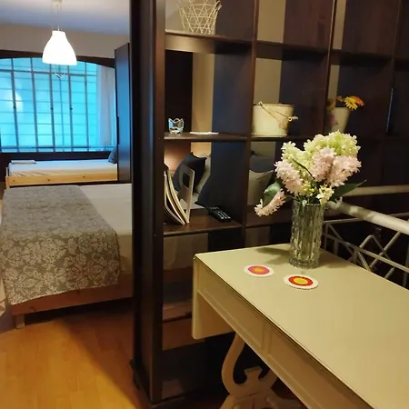 Short Loft At Apartment *